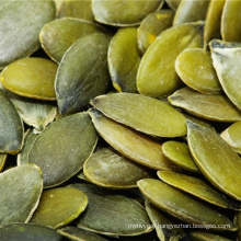 Inner Mongolia top crop Productive seeds pumpkin seeds for sale